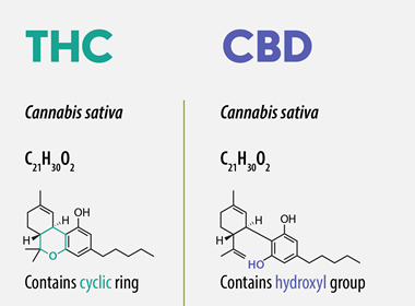 cbd vs thc