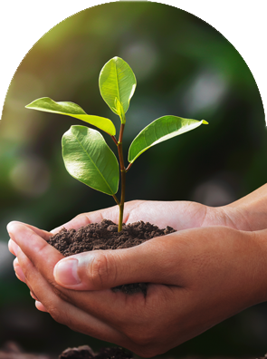 sustainability